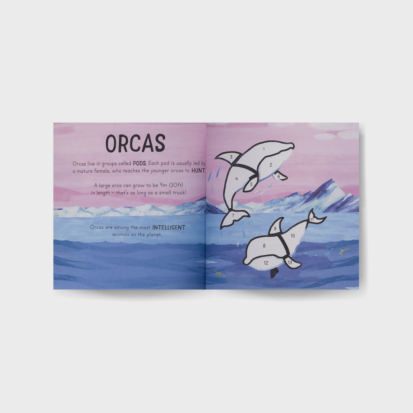 Colour with Stickers: Ocean, Sticker Book