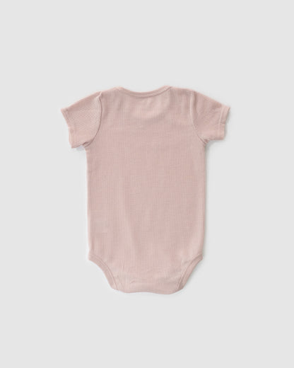 Pack of Three - Short Sleeve Bodysuit, Teddy Bear